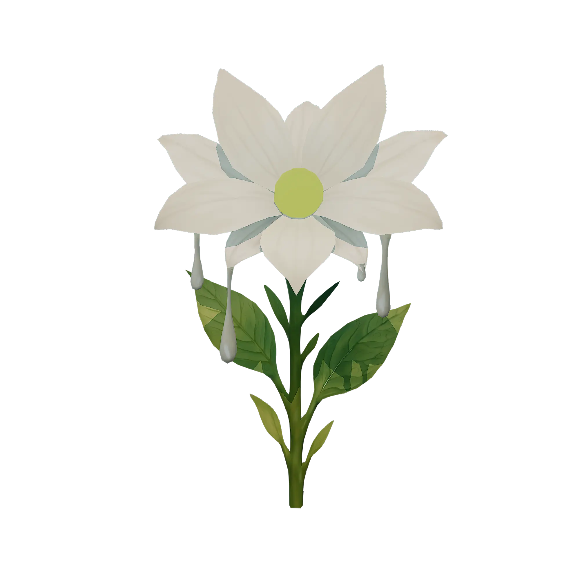 Bloom Flower